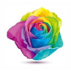 مجموعة الوان مائية 48 لون شفافة حجرية عالية الجودة مع 2 فرشاة قلم وإسفنجة